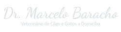 doutor-marcelo-baracho-cliente-tatitas-websites